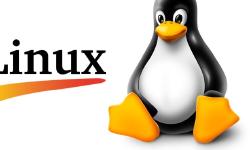 Featured image of post Linux学习记录01